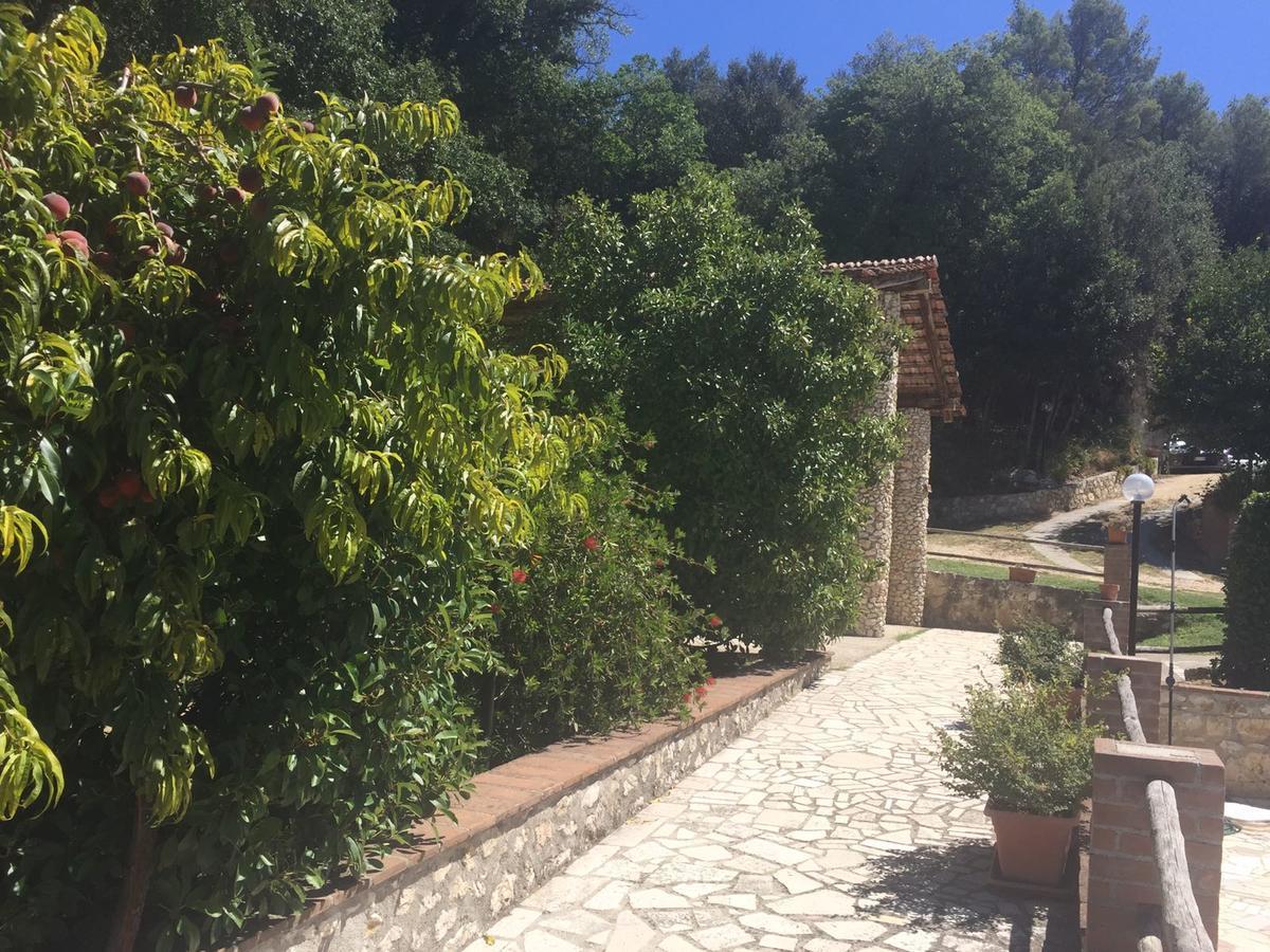 Belvedere Cramaccioli Vigne ภายนอก รูปภาพ