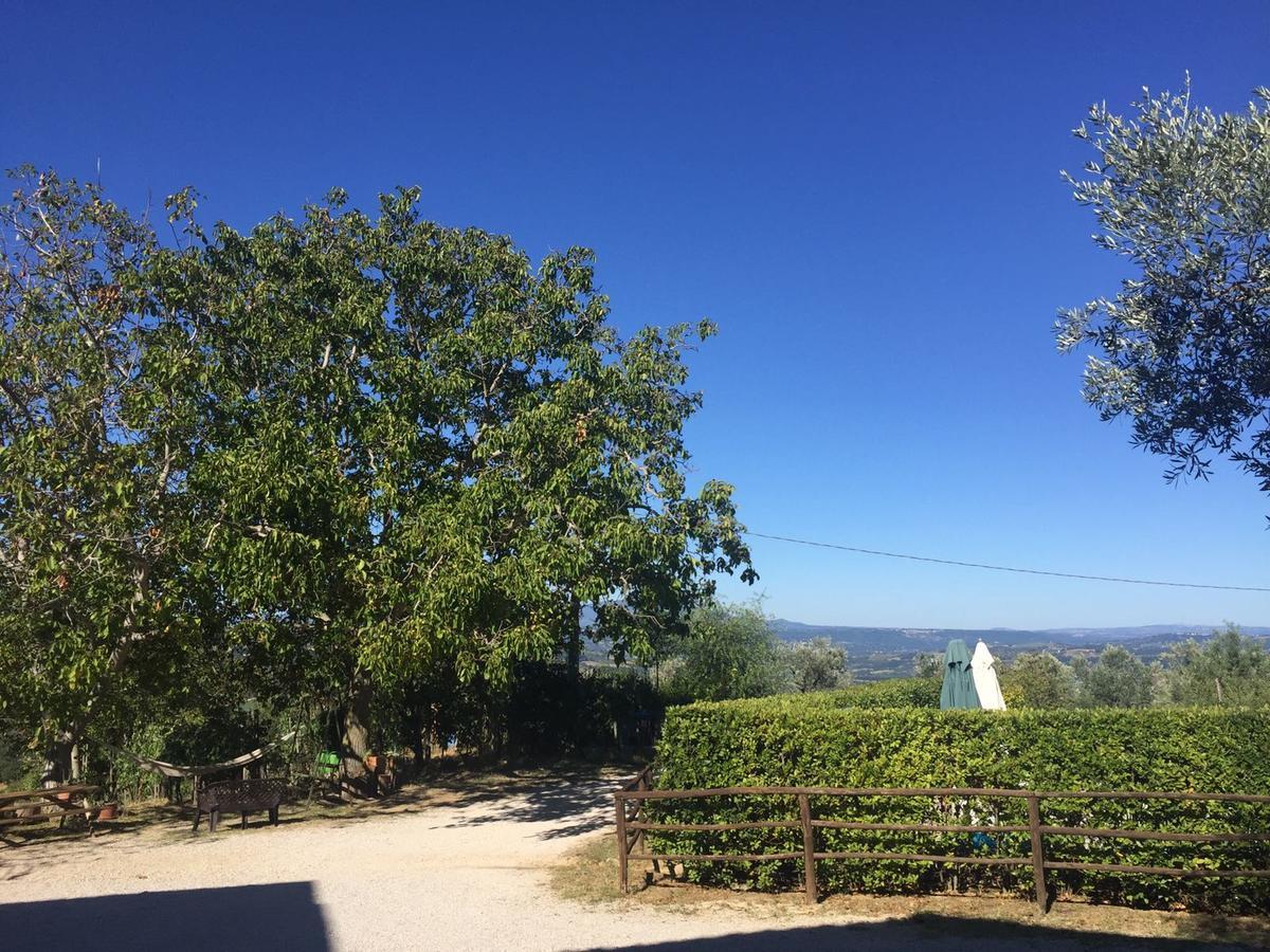 Belvedere Cramaccioli Vigne ภายนอก รูปภาพ